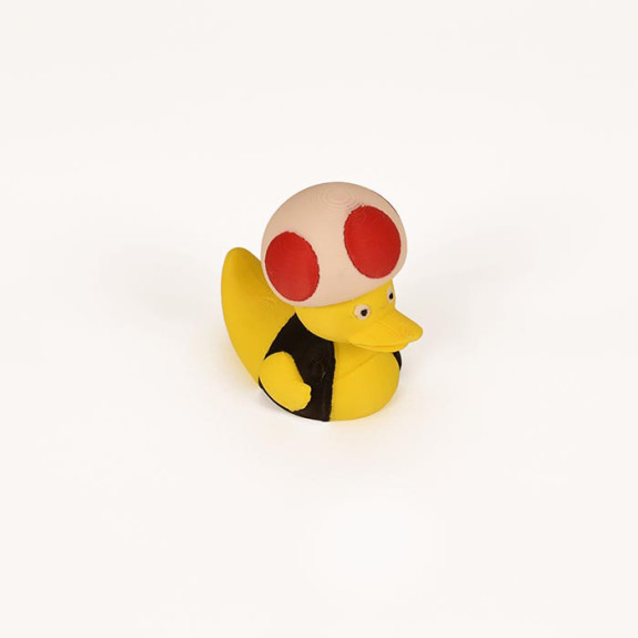 Toad Duck